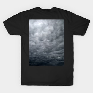 Storm Coming Better Hide T-Shirt